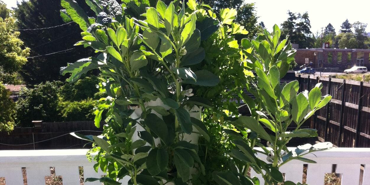 LastingWellness's profile banner image