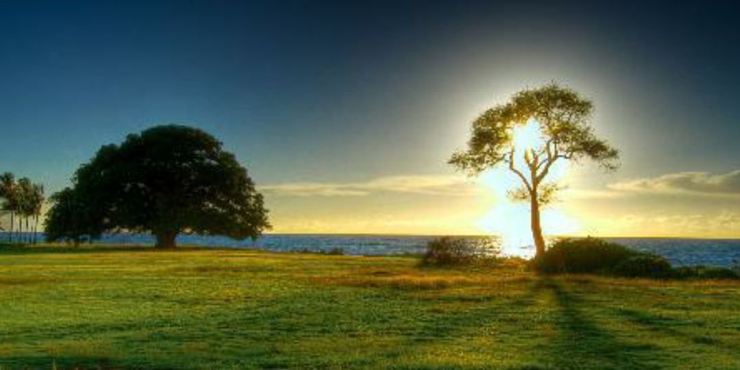 WaltTweets's profile banner image