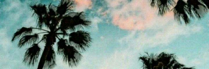 PerlaScarpeccio's profile banner image