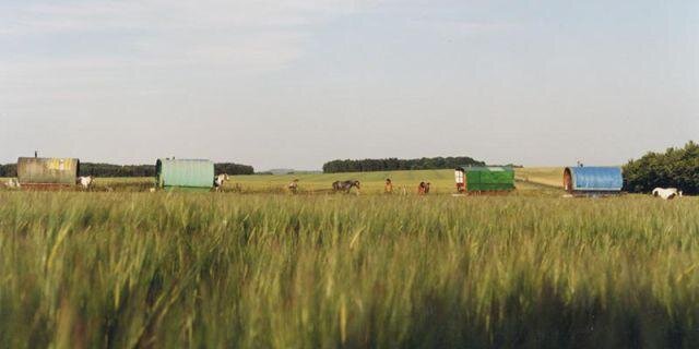 r banner