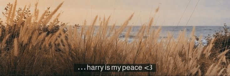 mkprinceharry's profile banner image