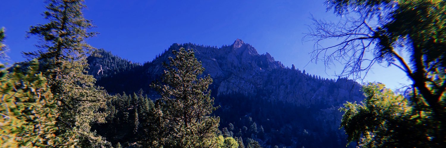 Blake Edwards banner