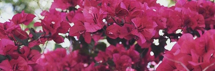 aar0nconda's profile banner image