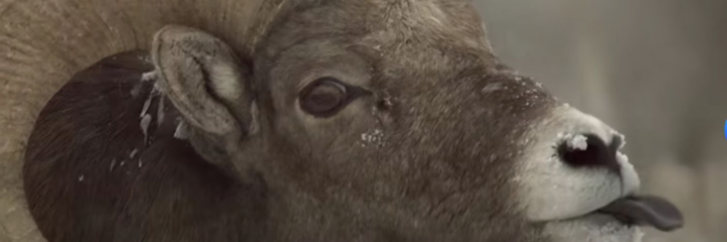 ClapBombs18's profile banner image