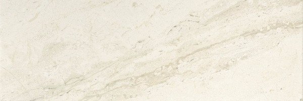 shanedonny_'s profile banner image