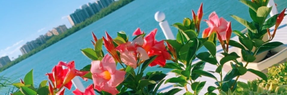 taysal17's profile banner image