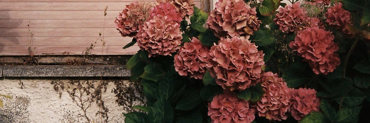 Kate Carmadella banner