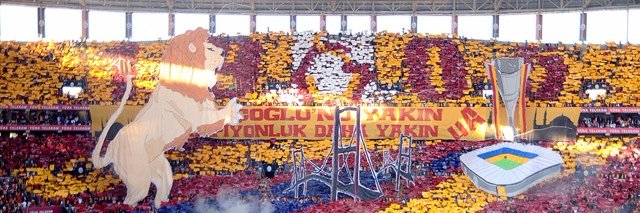 Cihan Yangınoğlu banner