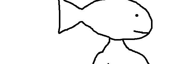 whyfishonhead's profile banner image