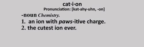 Kation a Mess with a M.S. banner