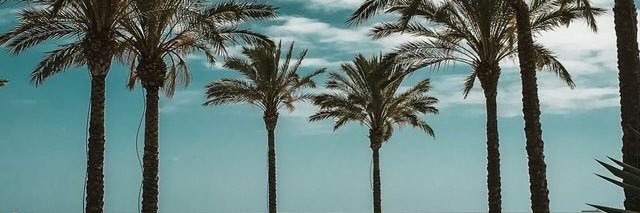 _figueroa2's profile banner image