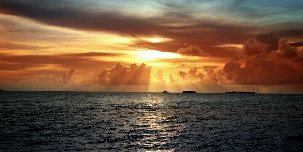SSA_Seaver's profile banner image