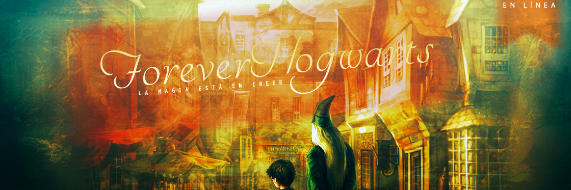 FHForo's profile banner image