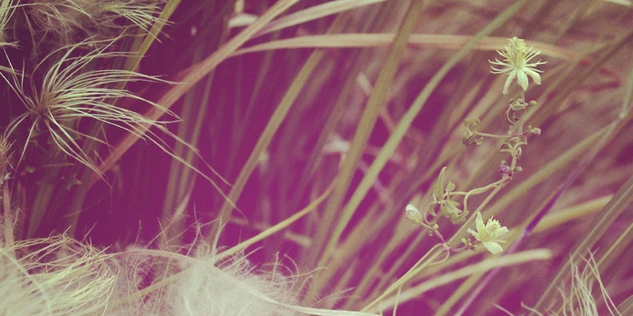 cupkatiep's profile banner image
