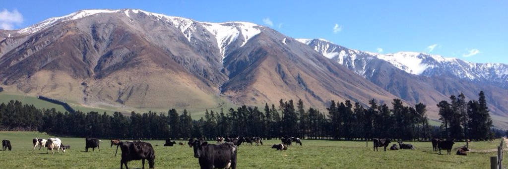 Rupert Sheppard banner