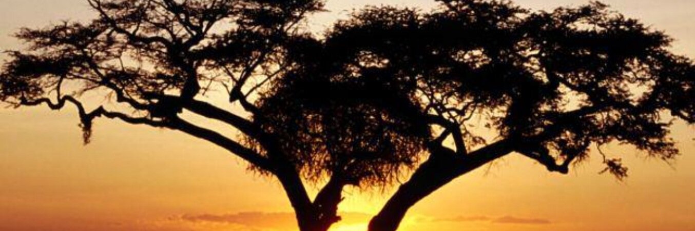 mcppowe57's profile banner image