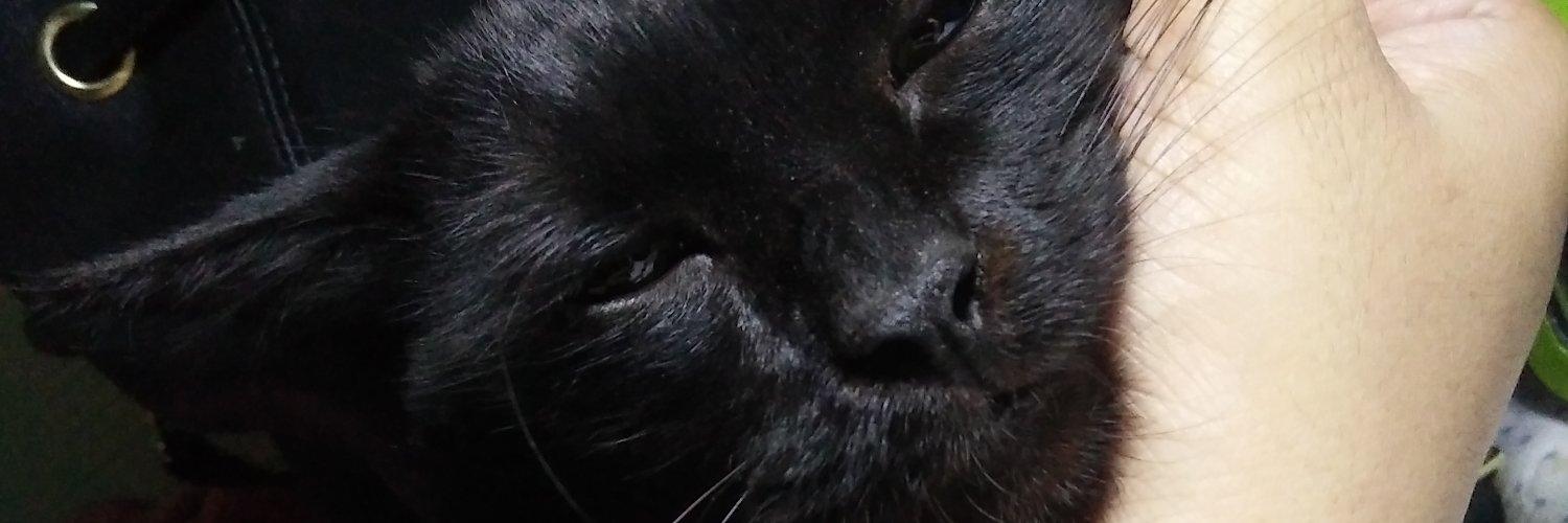 amanda_ndaaaa's profile banner image