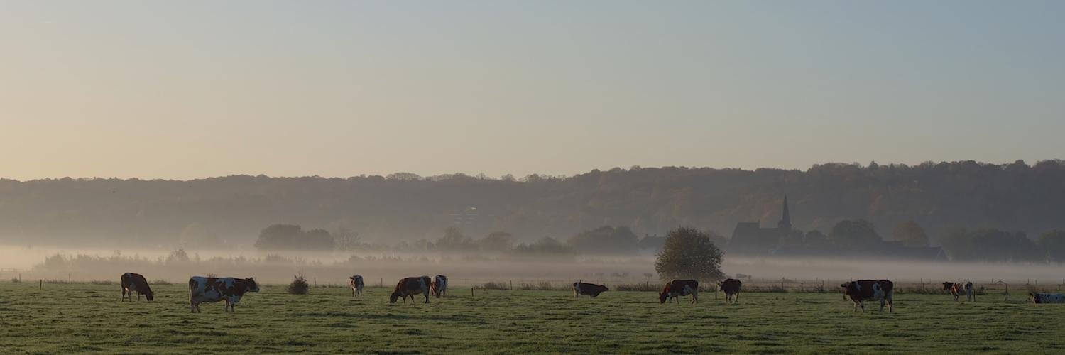 ooijpolder's profile banner image
