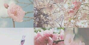 semasterxy18's profile banner image