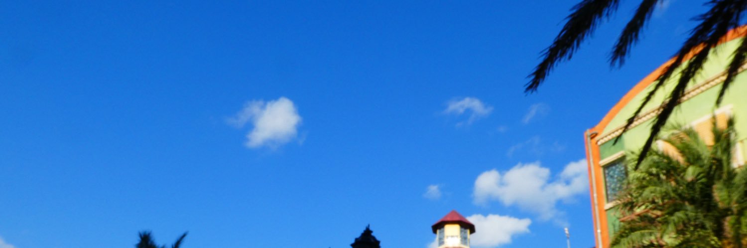 suzune12069's profile banner image