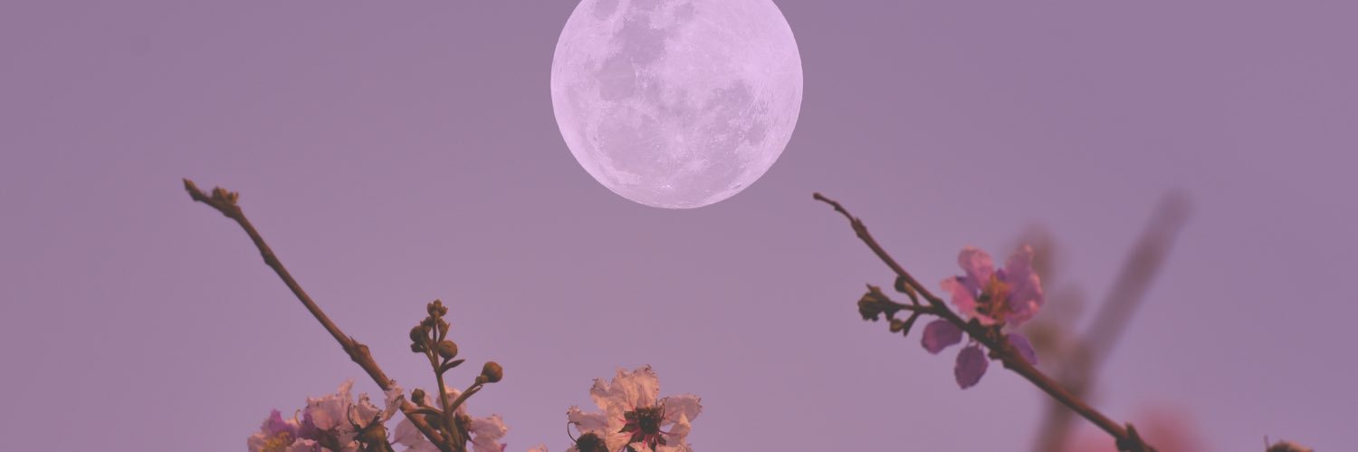 moonlitleena's profile banner image
