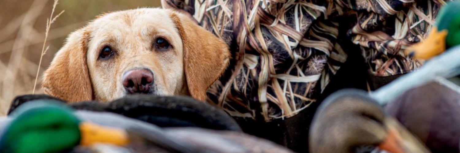 CBernard0107's profile banner image