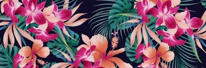 AnggelaBarrios's profile banner image