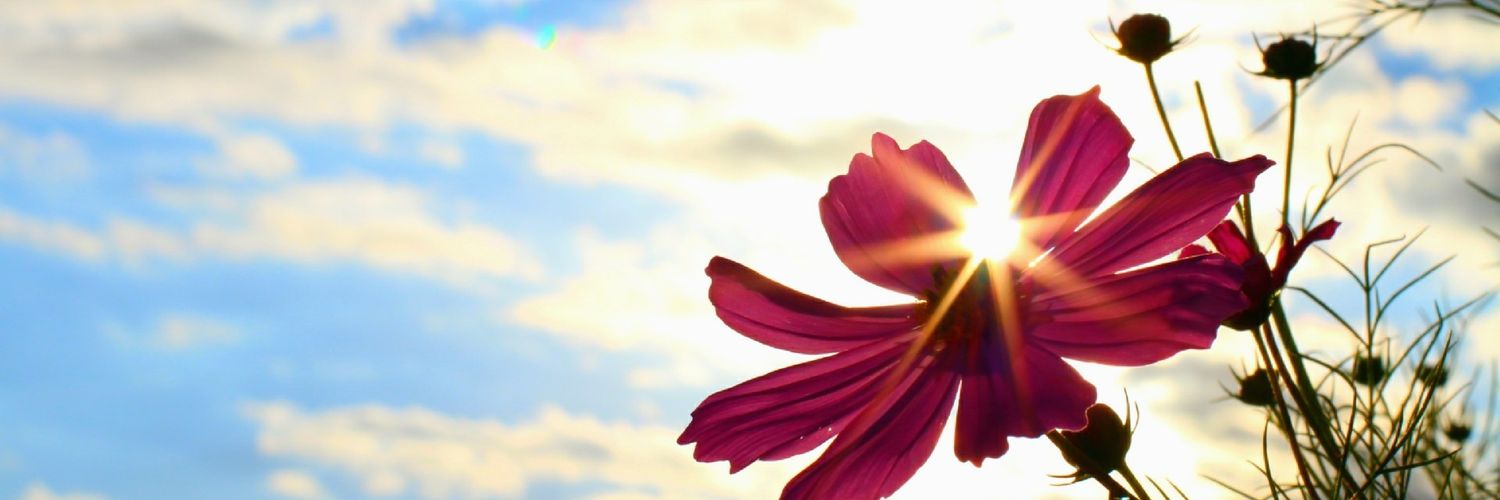 e_takezo's profile banner image