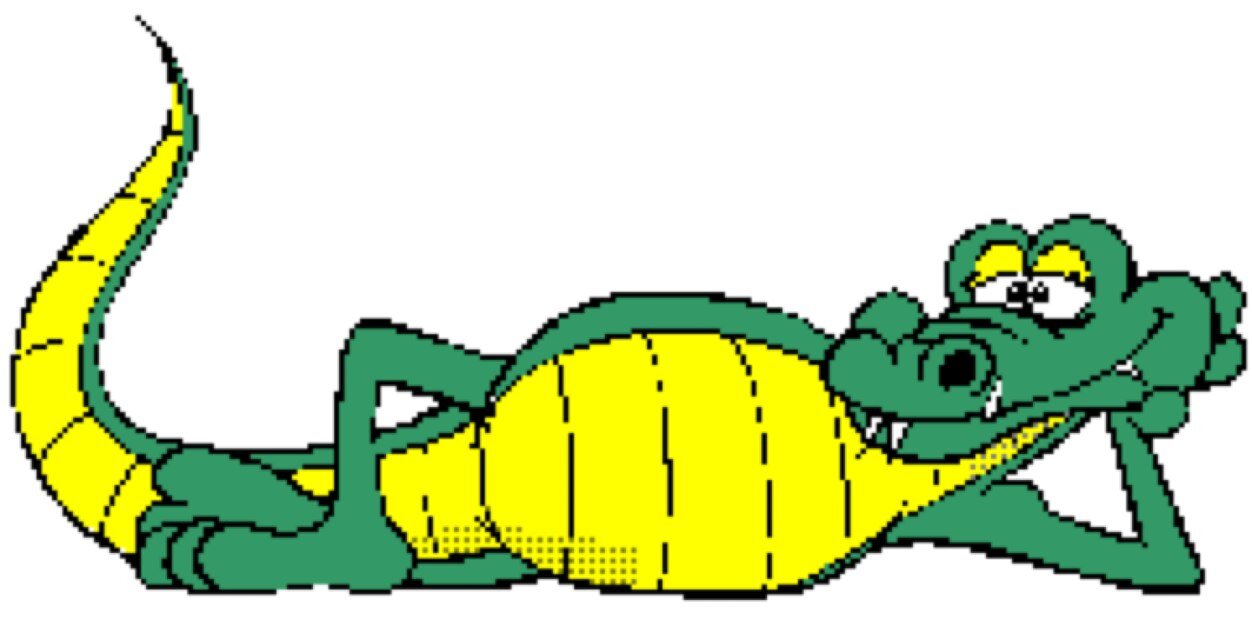 DCMS_students's profile banner image