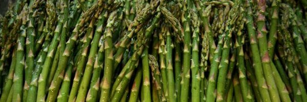 FarmsteadFoods Profile Banner