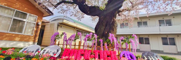 LOTO0425 Profile Banner