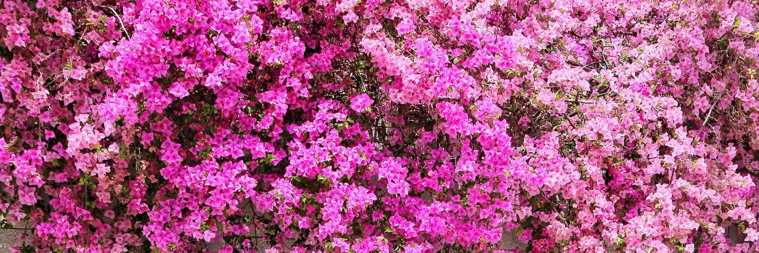 Yusma_rintik's profile banner image