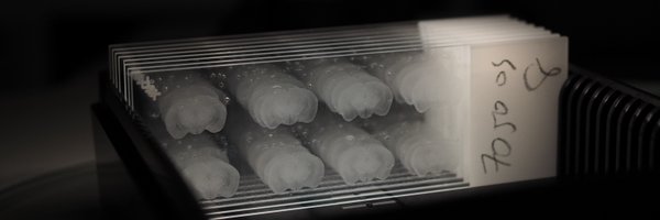 bill_krause Profile Banner