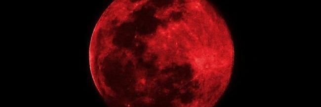 liszzt's profile banner image