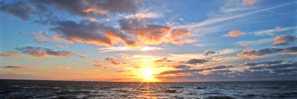coconutxziall's profile banner image