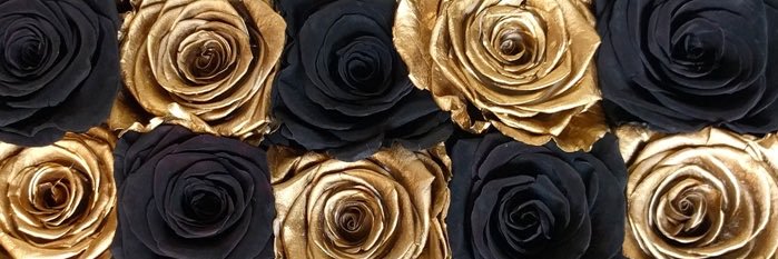 hello_thao's profile banner image