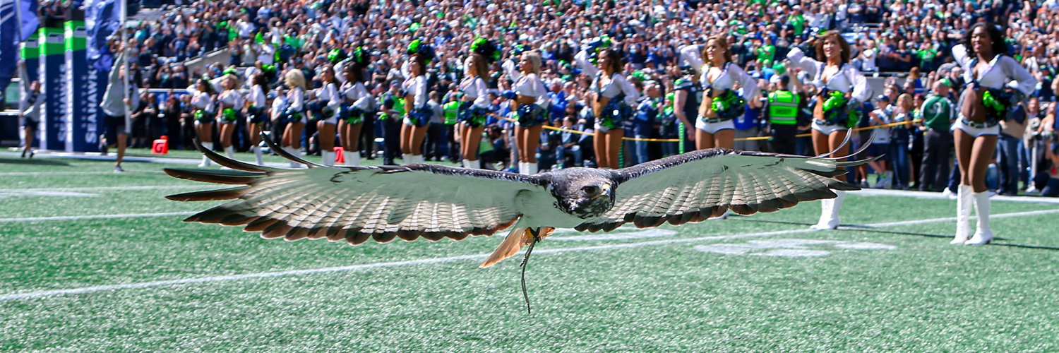 Taima the Hawk banner