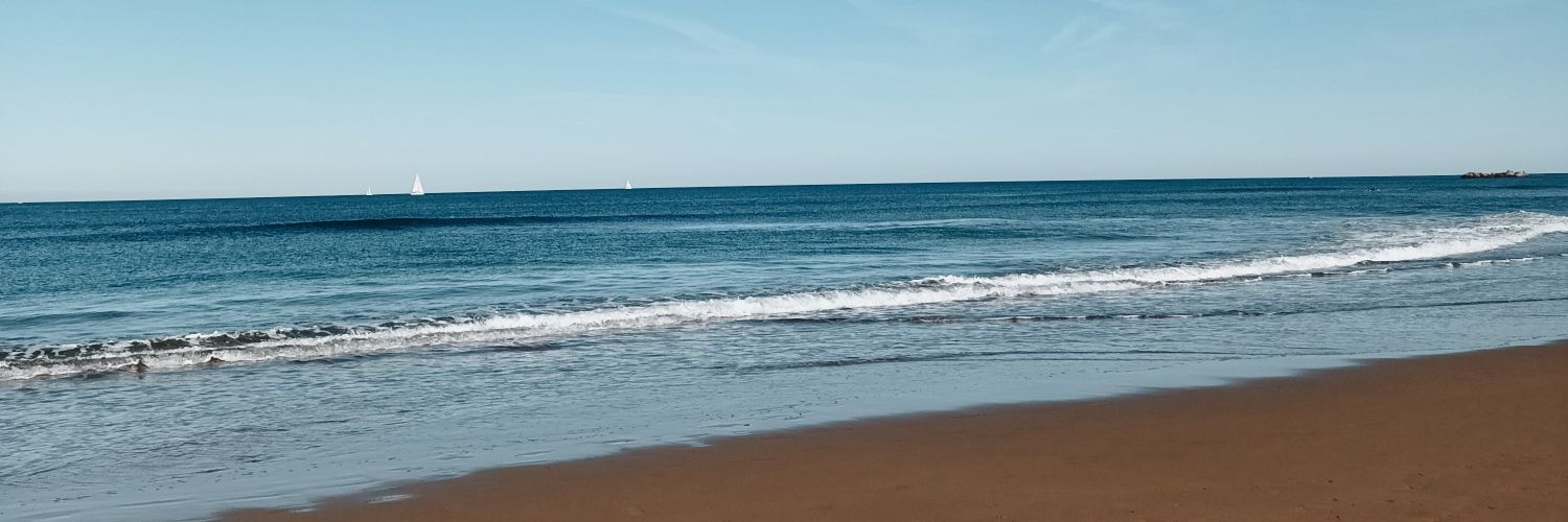 nereluvu's profile banner image