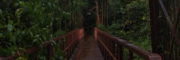 ch_chichu Profile Banner