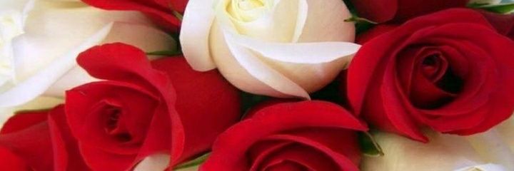 FitriaSahidah's profile banner image