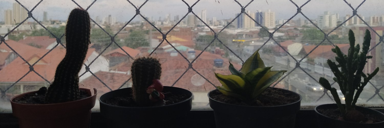 clebiomelo's profile banner image