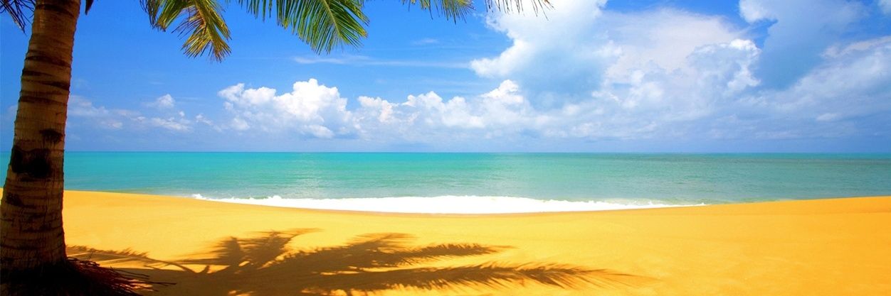 DavidMusson22's profile banner image