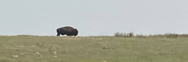 Blake_Allen13 Profile Banner