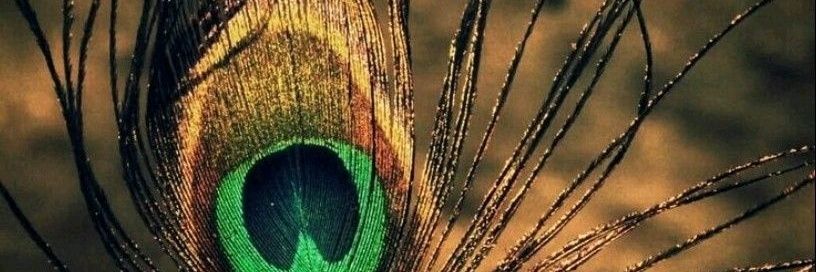 ashwanialfa's profile banner image