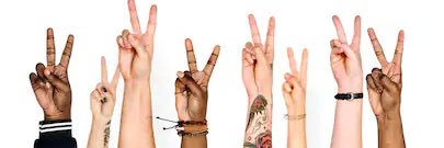 (((Amy Gerstein))) banner