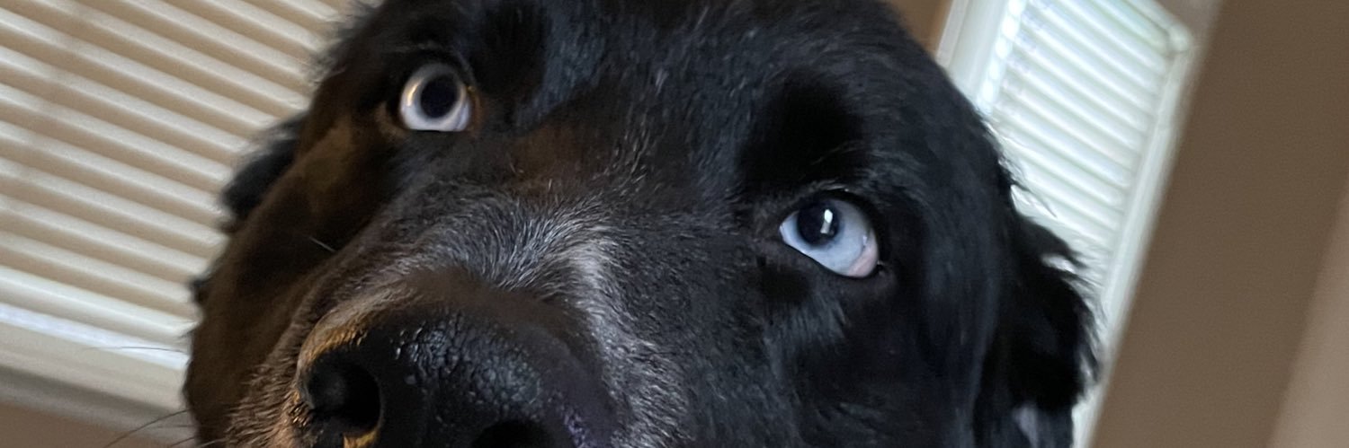 Roche25's profile banner image