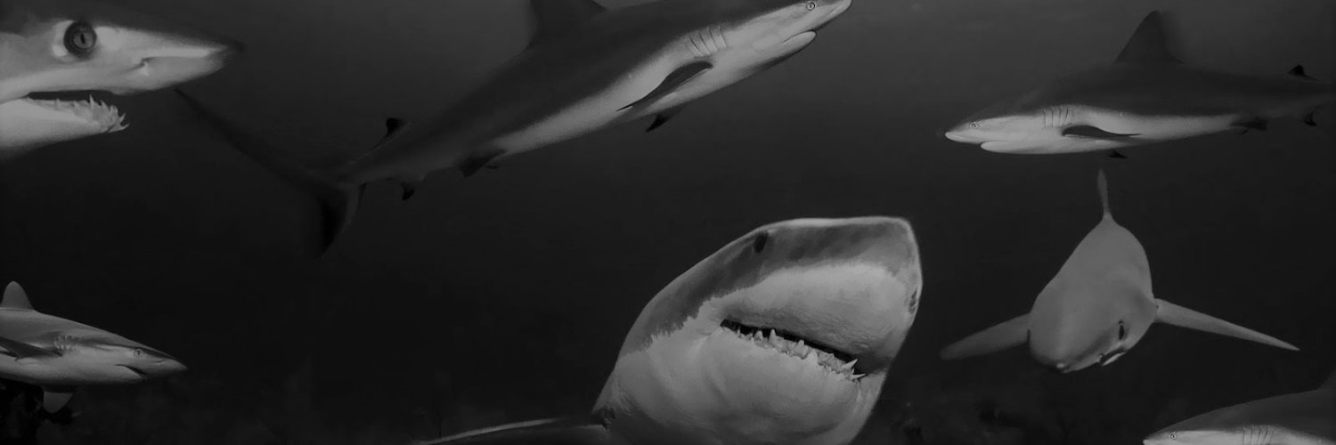 Minxy banner