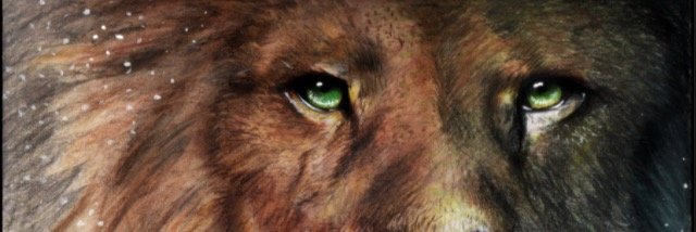 kucukemin11's profile banner image