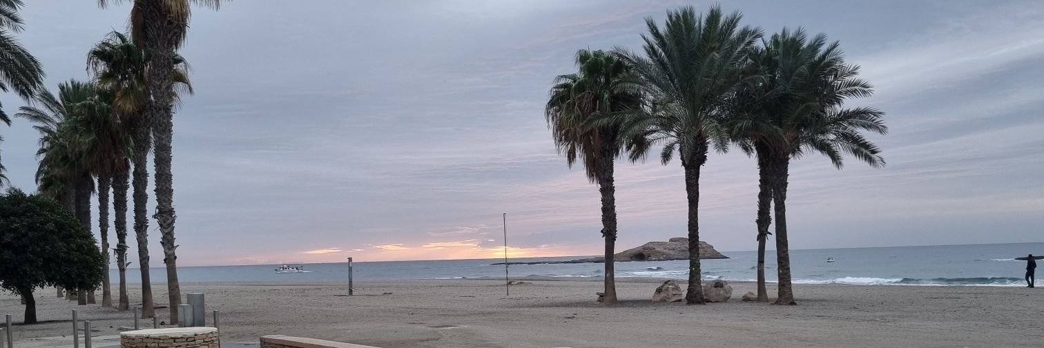 dacienro's profile banner image