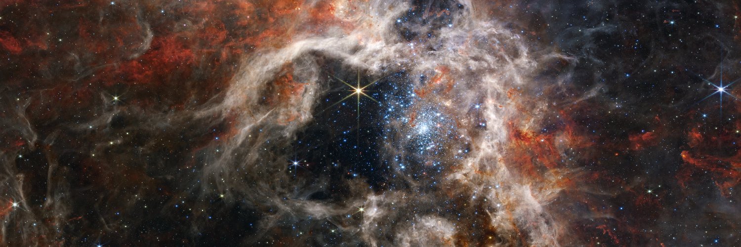 Christopher Chris banner